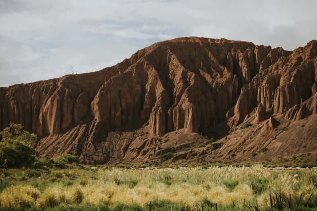 Natural resources management